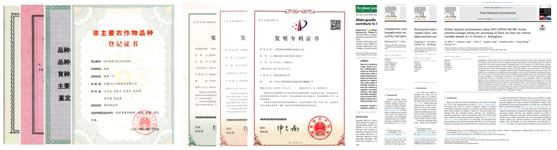 主要研究成果.png