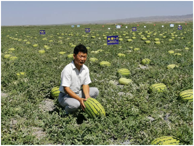 杨建强.png