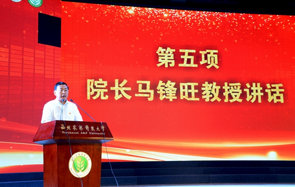 经理马锋旺讲话.jpg