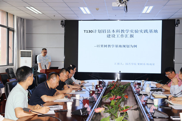 杨成泉老师汇报设计方案.JPG