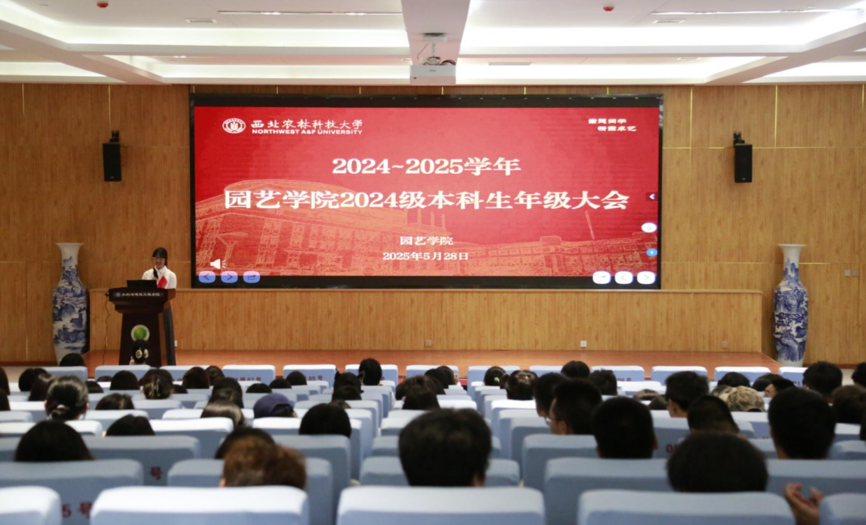 年级大会.png