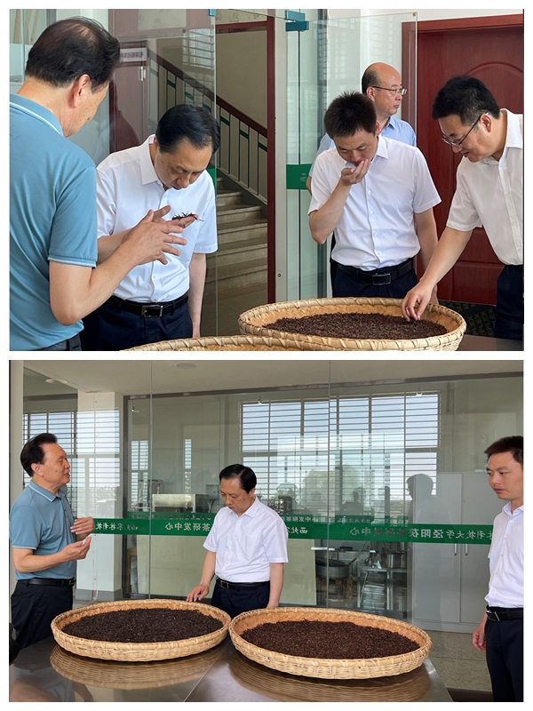 调研现场.jpg