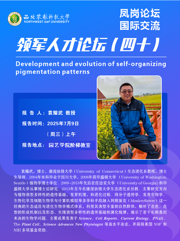 海报-袁耀武.png