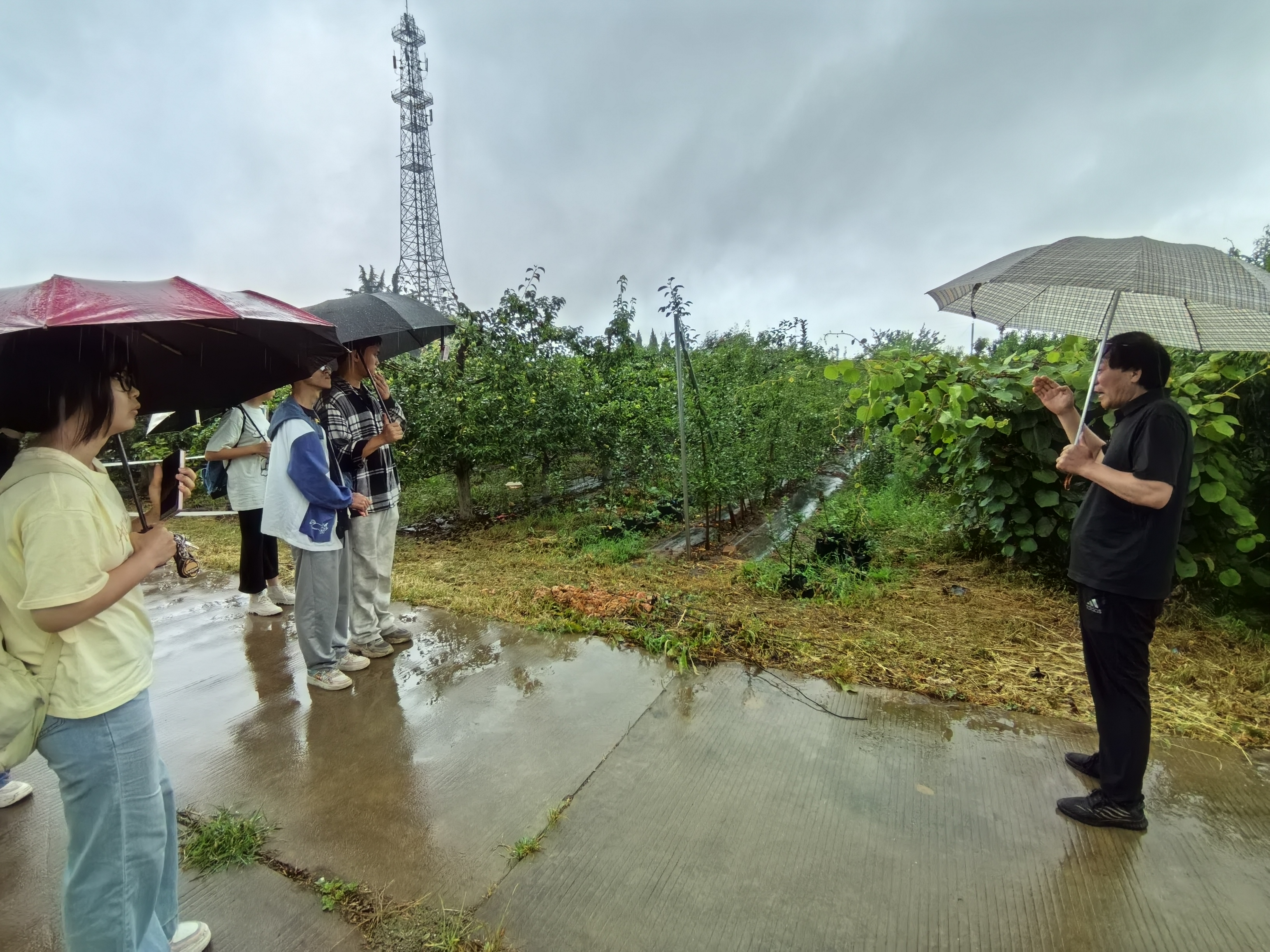聆听符老师对北校园艺实践基地的介绍.jpg