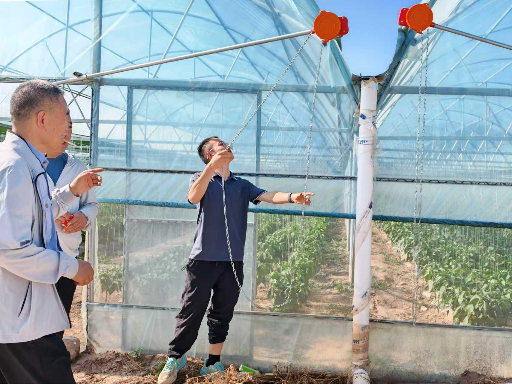 暑期实践投稿＋william威廉亚洲官方赴西北干旱盐碱地设施番茄高质量发展调研服务队+科技赋能盐碱地 设施农业促振兴（图3）.jpg