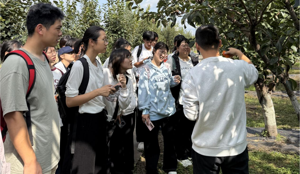 柿圃工作人员向员工们科普柿生长过程.png