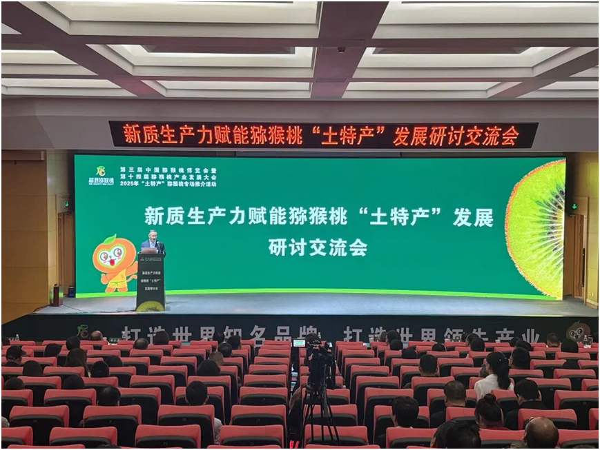 研讨交流会现场.png