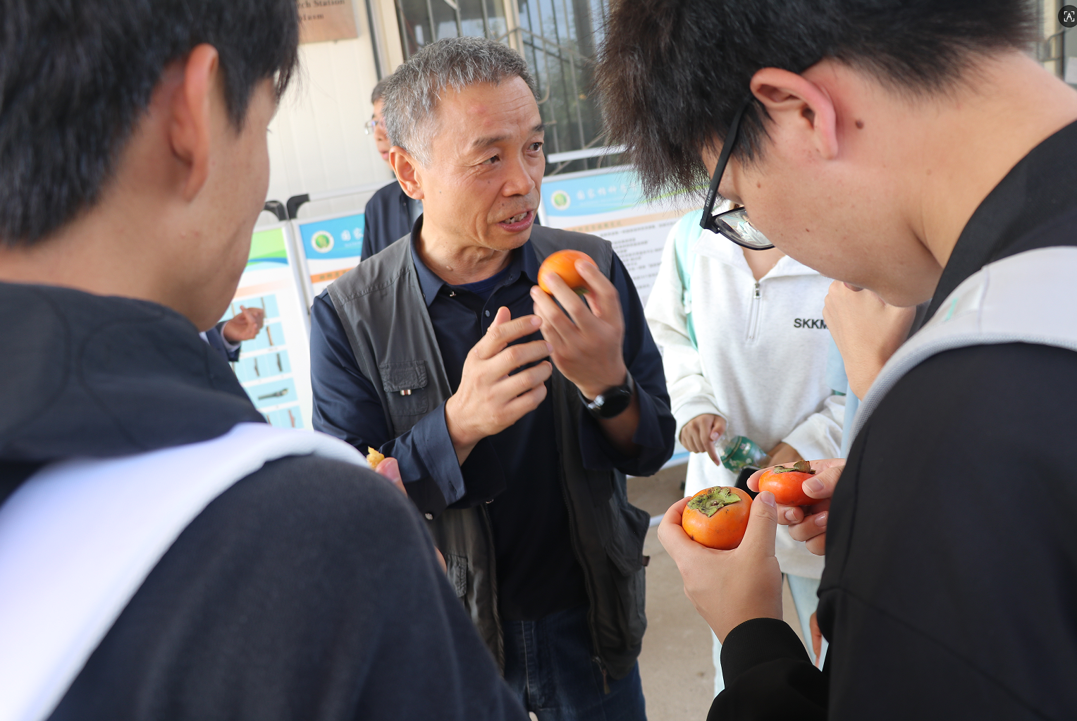 杨勇.png