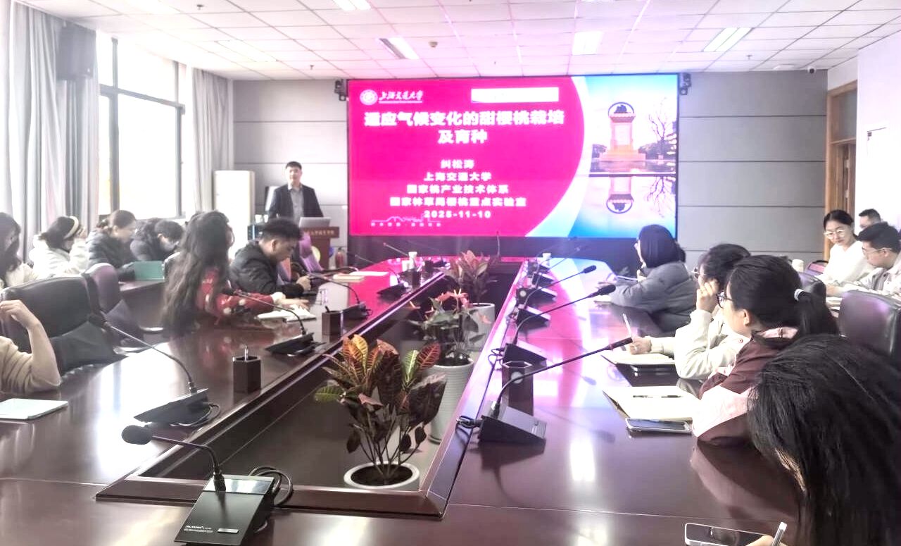 报告会现场_副本_副本.jpg