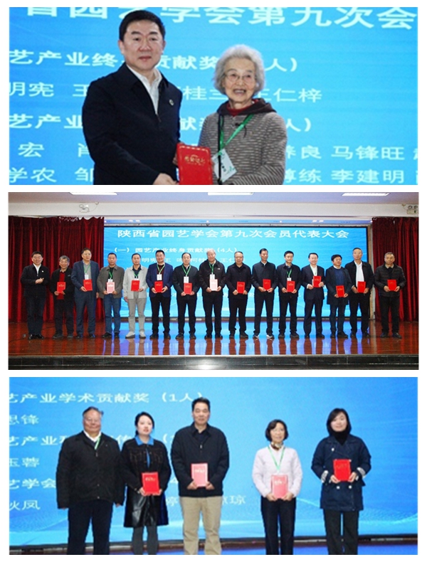 大会颁奖环节.jpg