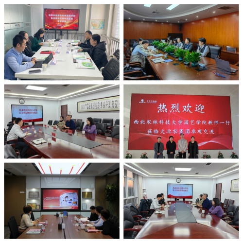 组图_公司网站用.jpg