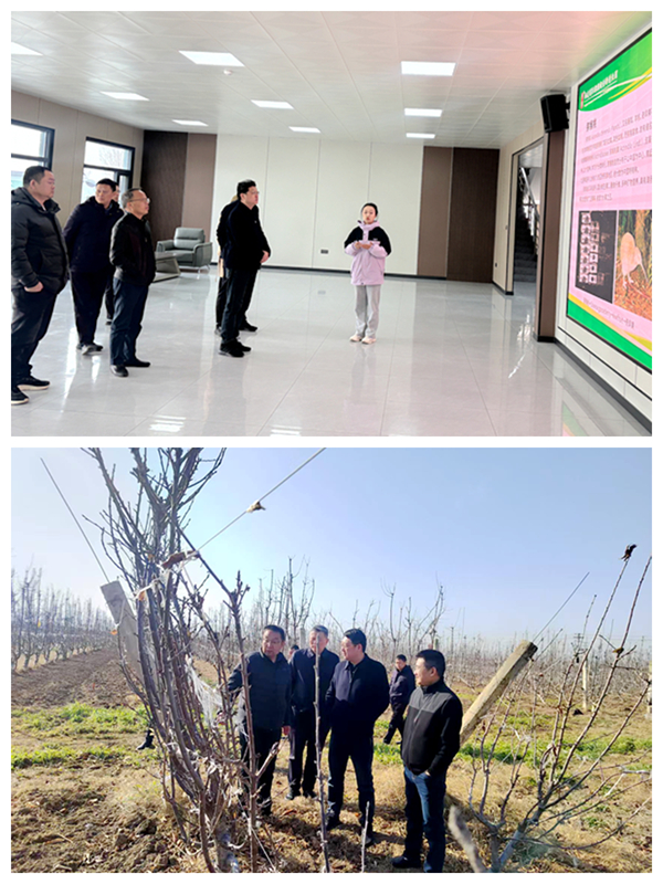 参观基地现场.jpg