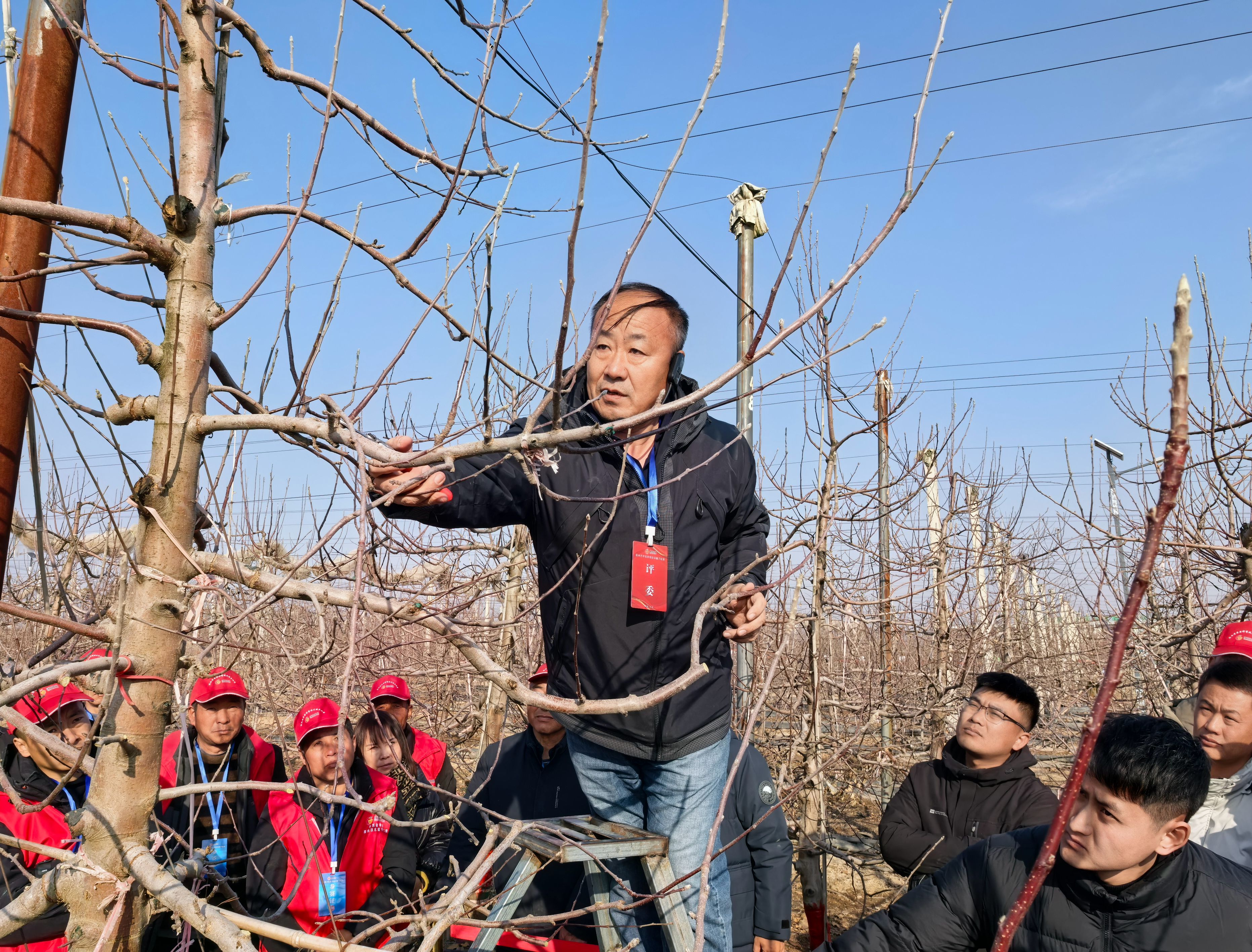 邹养军研究员现场培训指导_副本_副本.jpg