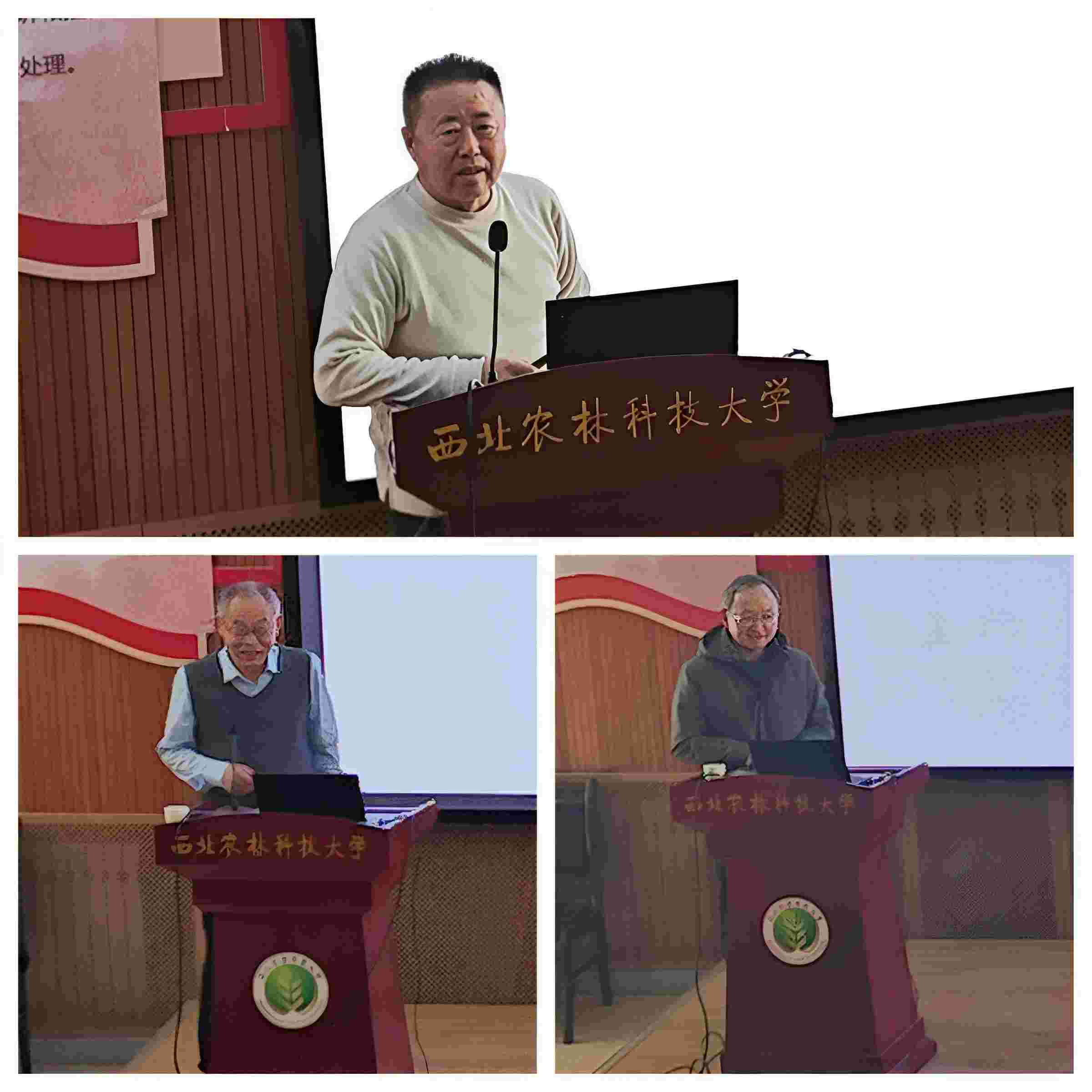 光影魔术手拼图.jpg