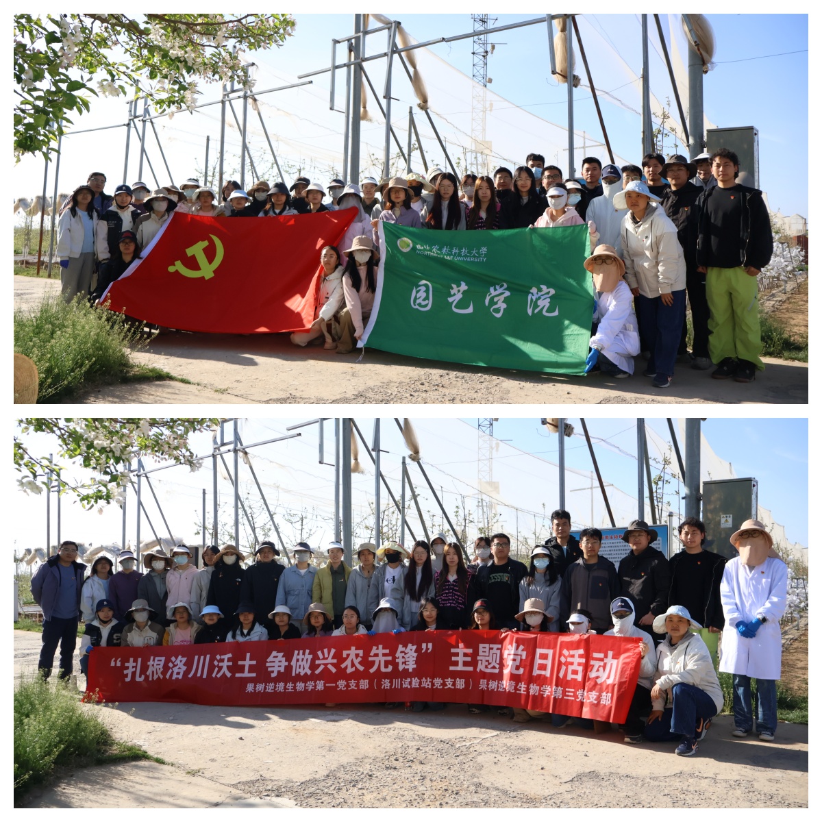 图1.jpg