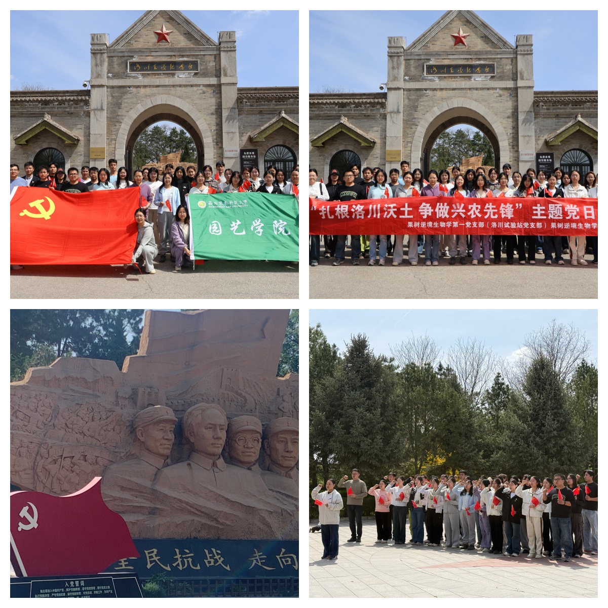 图5.jpg