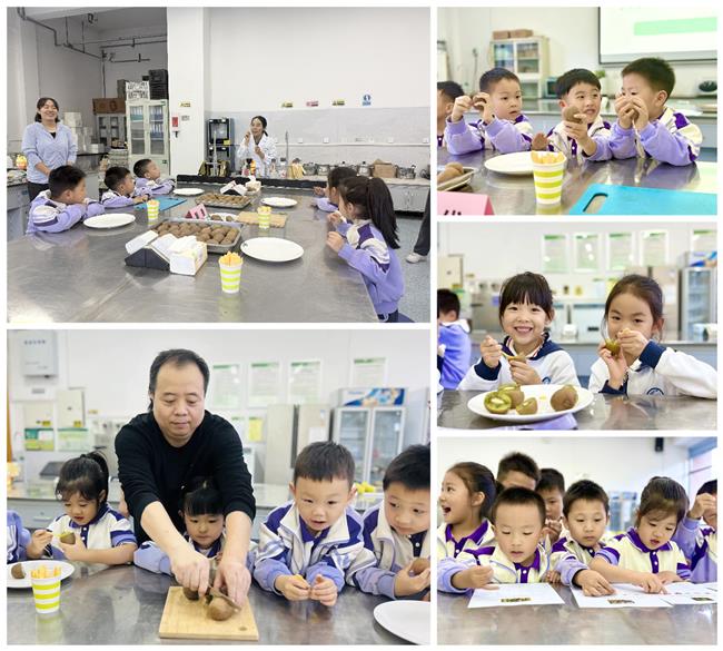 幼儿园猕猴桃研学2(1).jpg