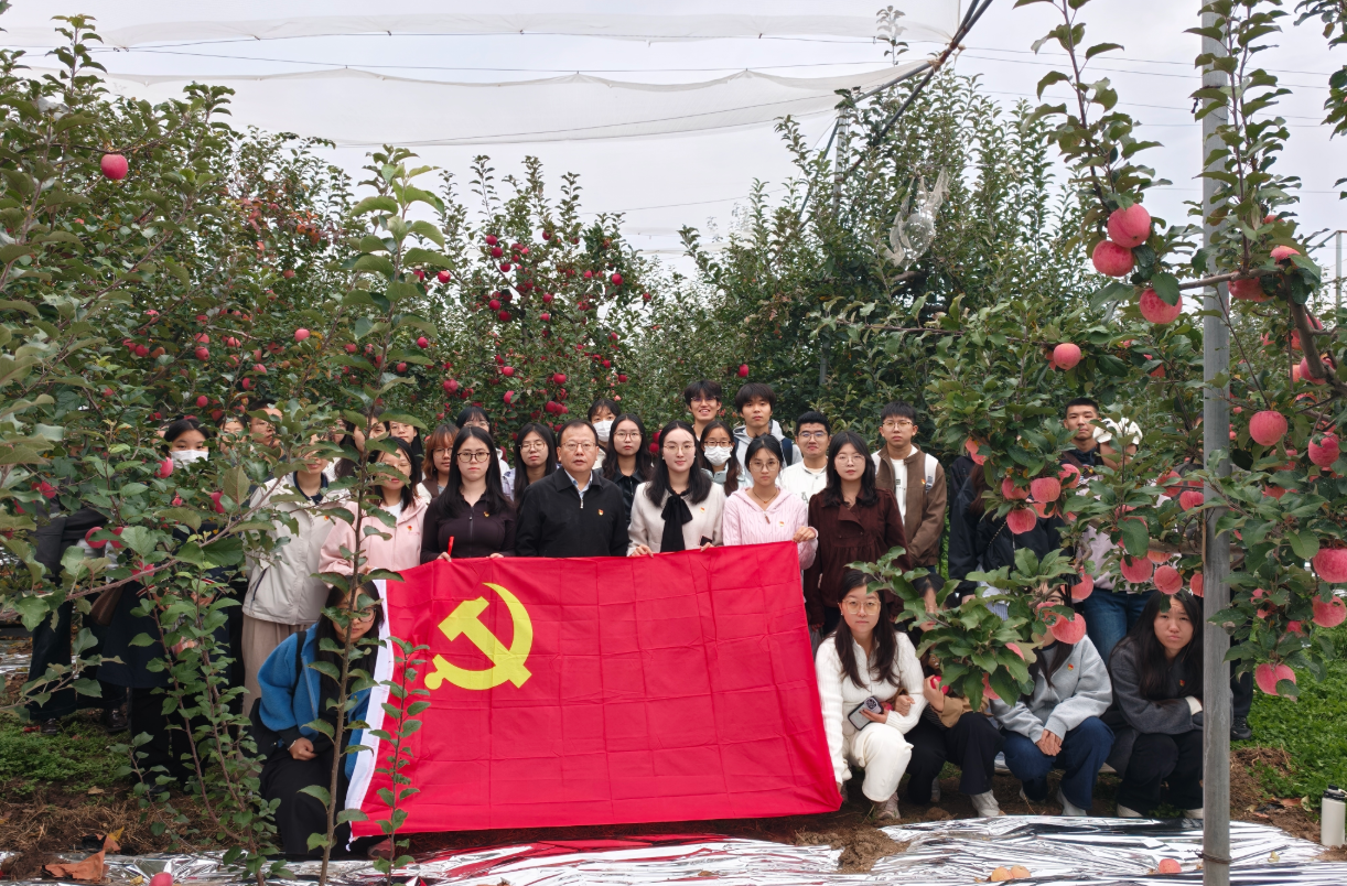 果园.png