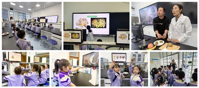 幼儿园猕猴桃研学1(1).jpg