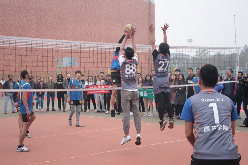 7f463c1da09e4abca53cd2d10d28940b.jpg