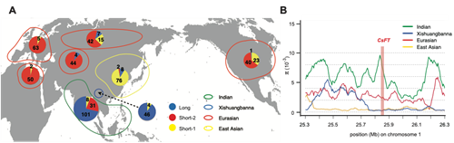 4d0a0efdea004e40b16b54c406a423d8.png 图片2.png