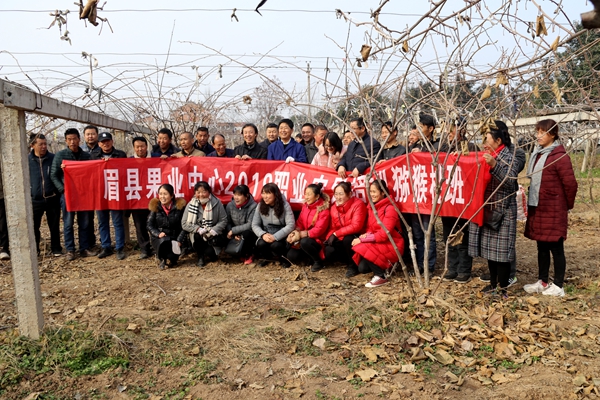 630a4b31978c4d67bcf74fe047658aec.jpg 眉县主管农业副县长李广恒参与田间修剪活动 (2).jpg