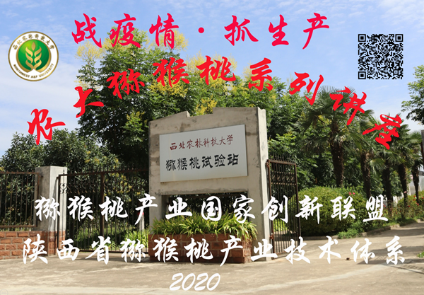 农大猕猴桃系列讲座 (1).png