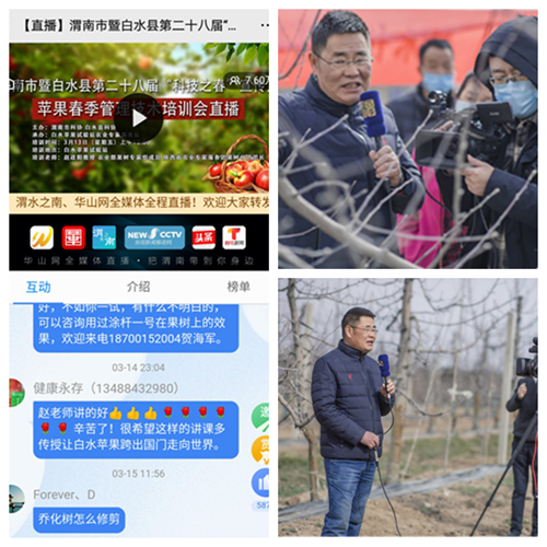 图三.png