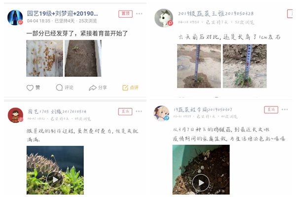 盆栽养护活动截图.jpg