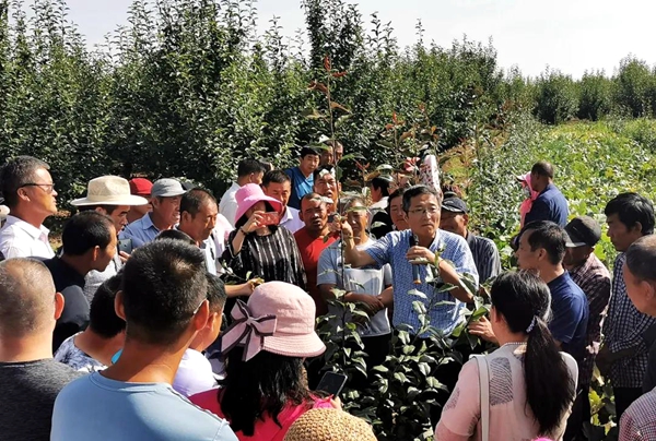 8f33d9feee3f4052a5fa6e7f7518d920.jpg 徐凌飞教授实地田间指导.jpg