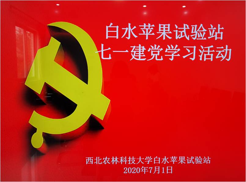 b3c8e0956cf44170978ae8ea5afa2020.jpg b3c8e0956cf44170978ae8ea5afa2020.jpg