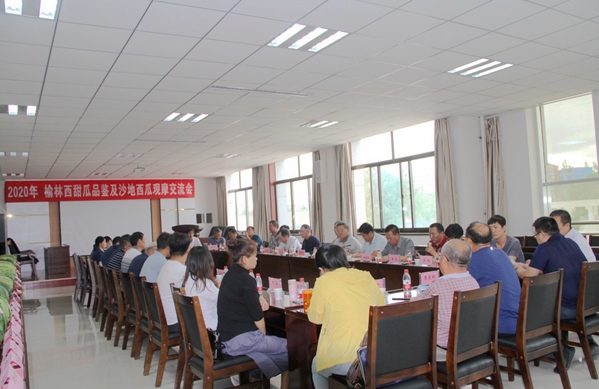 会议现场.jpg