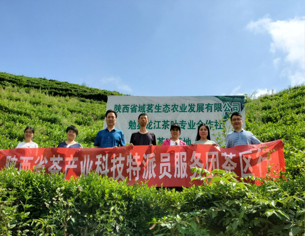 茶园合影_meitu_2.jpg