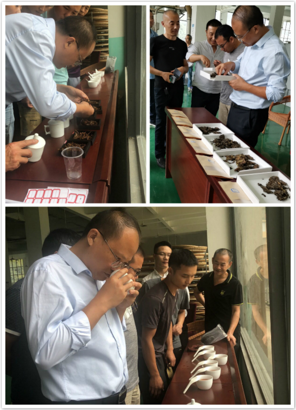 茶叶品质诊断.jpg