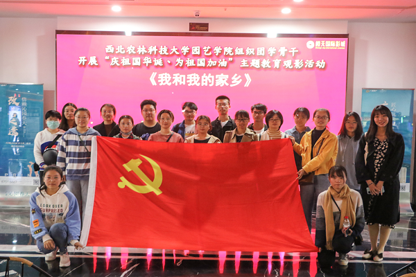 观影.jpg