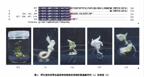 fb469357760048689f3f019490b5db7b.jpg 1_meitu_1.jpg