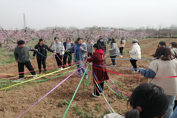 9fd0191cd9e14ffab03ac7d869ef0ae3.jpg 心理辅导.jpg