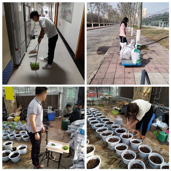 0517190A51A034AC9460C01AE58EF369_副本.jpg