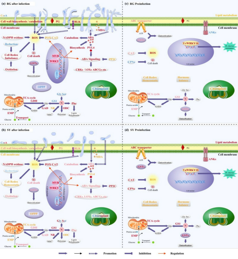 f7c339b3b59b462c8e7c8ccd2578cf69.jpg 图片2-1.jpg