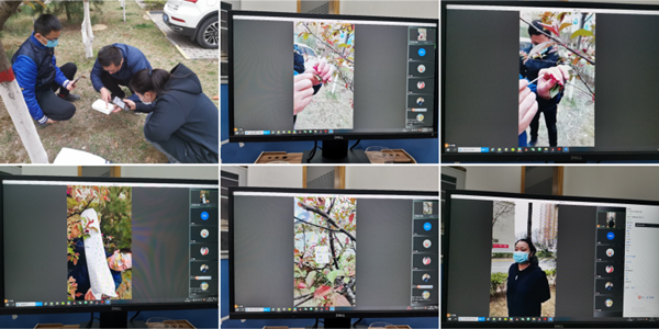 59f09b691b864ae98e58e95ef661f2b8.png 线上讲授果树杂交育种全程.png