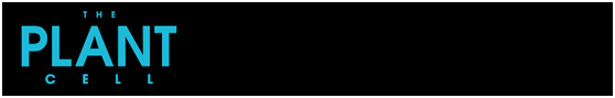 446e573807ce4abdb9a85298e37a2f3c.png image.png