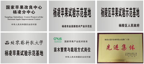 0fab4587b40c443abe21174b3602e6fd.png 0fab4587b40c443abe21174b3602e6fd.png