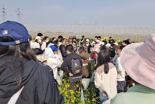 af15d82c0fff49f284d2099b86b59ea5.jpeg 赛前同学们聆听老师的指导.jpeg