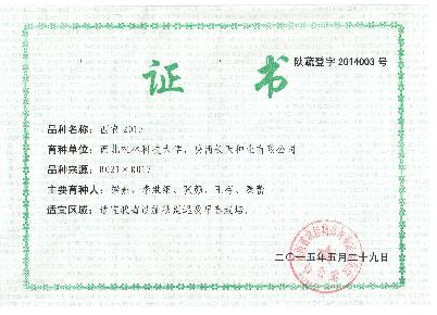 1786991dbfec471fbf0dc5082dc7ae76.png 1786991dbfec471fbf0dc5082dc7ae76.png